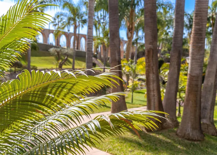 Casablanca 50 Oasis Properties
